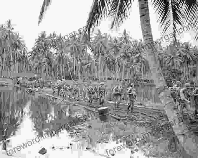 A Desolate And War Torn Guadalcanal Landscape Guadalcanal: Starvation Island (The Guadalcanal Battles 1)