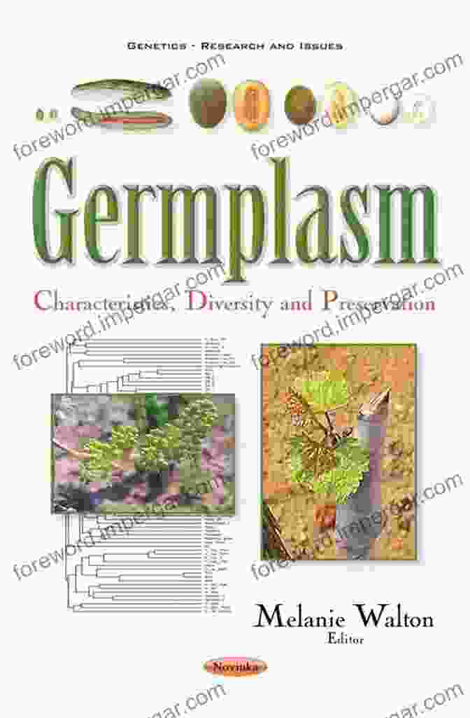 A Diverse Range Of Wild Germplasm Samples Collected In The Field Wild Germplasm For Genetic Improvement In Crop Plants