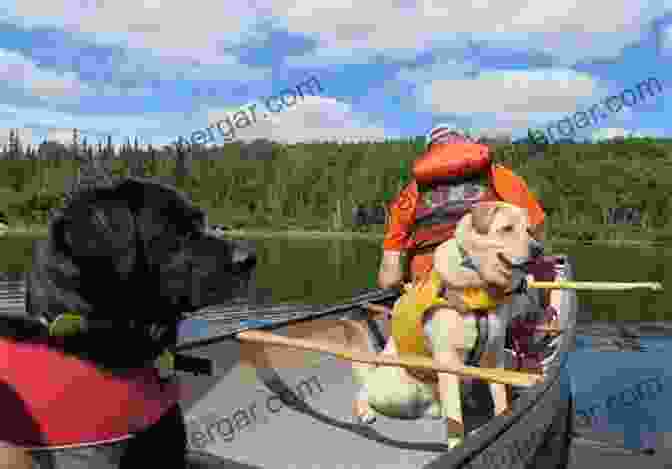 A Man In A Canoe With A Dog Team In The Canadian Wilderness By Canoe And Dog Train Among The Cree And Salteaux Indians (With Illustrations)