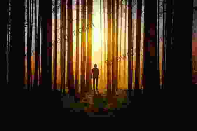 A Man Stands Alone In A Dark Forest, Surrounded By Shadows. The Long Night: A True Story