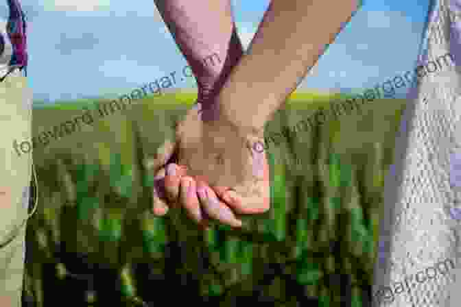 A Photograph Of A Woman And A Man Holding Hands In A Field, With Rolling Hills And A Barn In The Background. Love Inspired November 2024 Bundle 2 Of 2: An Anthology