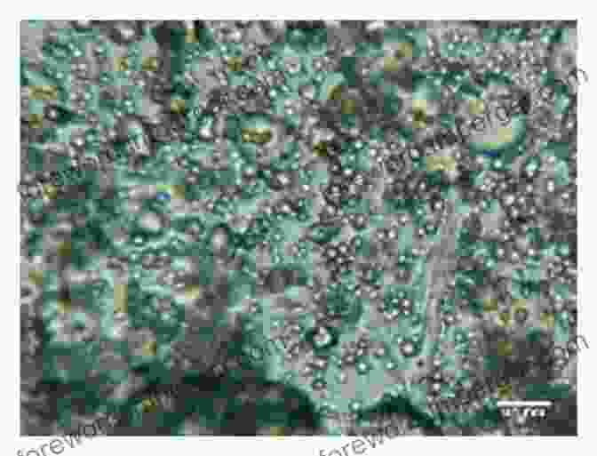 A Scientist Using A Microscope To Identify Barley Germplasm Samples Exploration Identification And Utilization Of Barley Germplasm