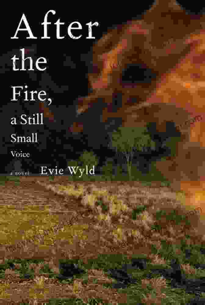 After The Fire Still Small Voice Book Cover After The Fire A Still Small Voice