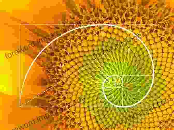 An Illustration Of The Golden Ratio In Nature The Joy Of Mathematics: Discovering Mathematics All Around You