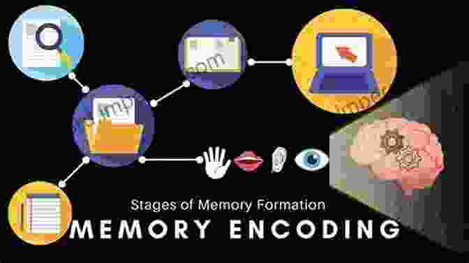 An Illustration Representing The Formation And Retrieval Of Memories Psychology (Illustrations): Briefer Course William James