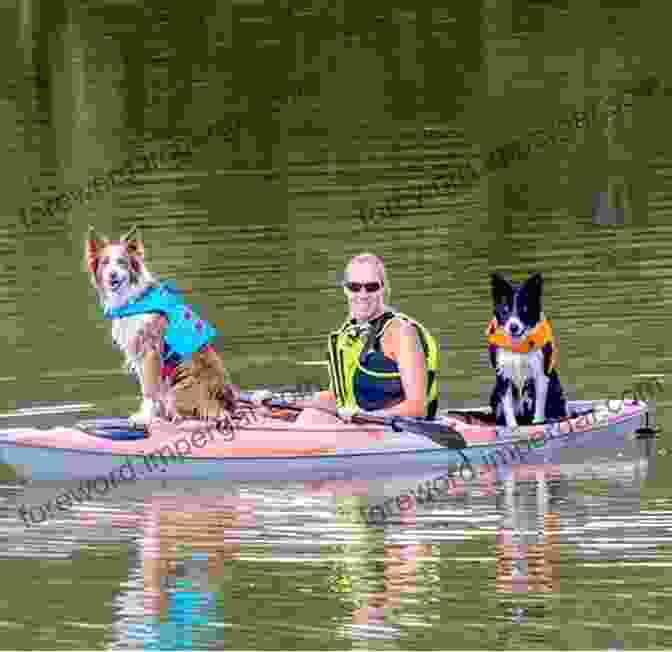 Canoe And Dog Train Journey By Canoe And Dog Train Among The Cree And Salteaux Indians (With Illustrations)