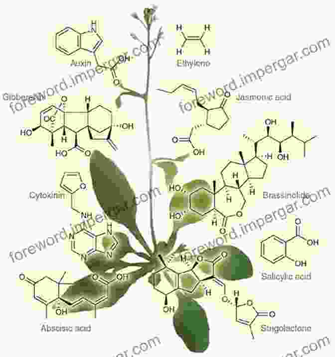 Chemistry Of Plant Hormones By Peter Christie Chemistry Of Plant Hormones Peter Christie