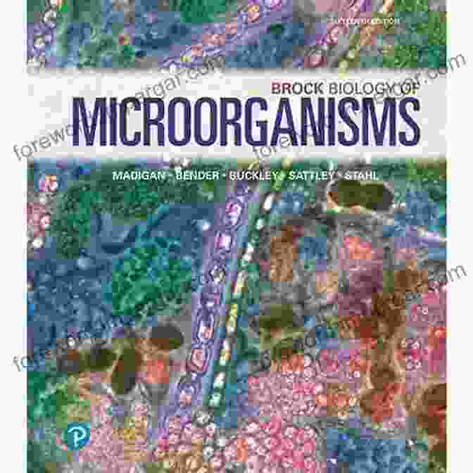 Cover Of Brock Biology Of Microorganisms Textbook Brock Biology Of Microorganisms (2 Downloads)