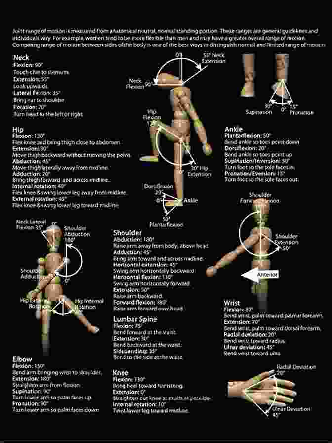 Diagram Of Joint Range Of Motion Measurements Joint Range Of Motion And Muscle Length Testing E