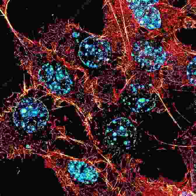 Fluorescence Microscopy Image Of Cells Labeled With A Metal Based Fluorescent Probe Metal Ions In Bio Imaging Techniques (Metal Ions In Life Sciences)