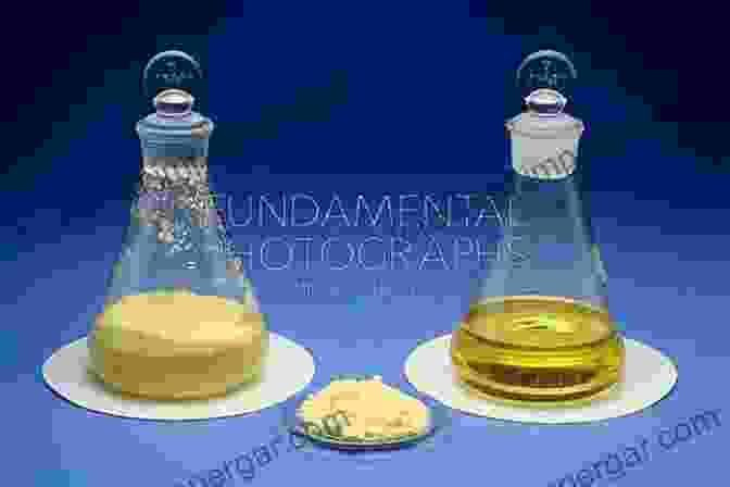 Fundamentals Of Sulfur Chemistry Sulfur Reagents In Organic Synthesis (ISSN)