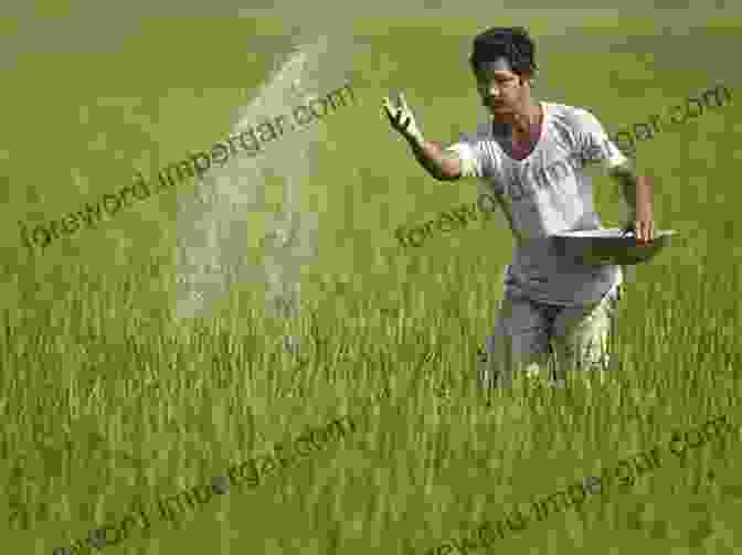 Image Of A Farmer Spreading Organic Fertilizer Around The Base Of A Mango Tree. Mango: Preventive Practices And Curative Measures