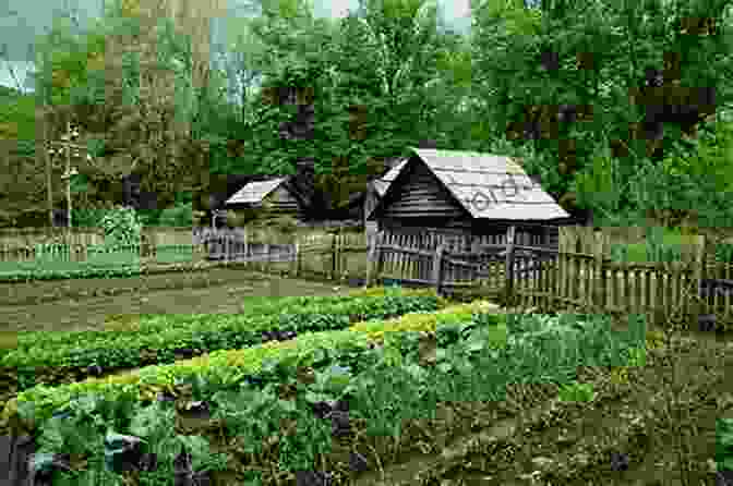 Image Of A Homesteader Gardening Cold Storage For Fruits Vegetables: Storey Country Wisdom Bulletin A 87