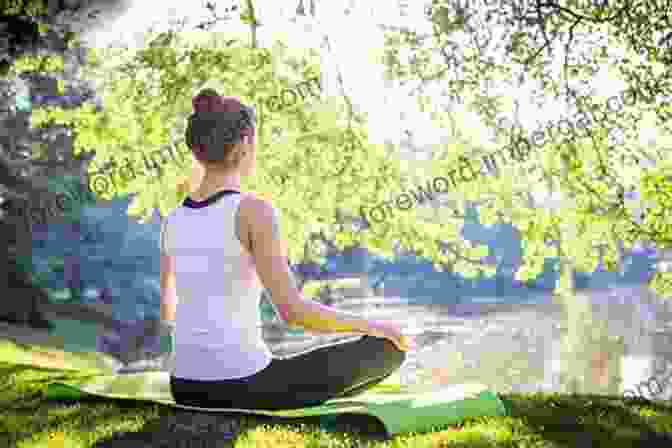 Image Of A Person Practicing Yoga In Nature, Symbolizing Balance Shifting Paradigms In International Investment Law: More Balanced Less Isolated Increasingly Diversified