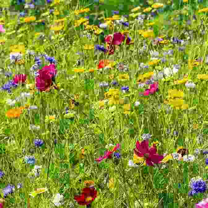 Image Of An Open Book Lying In A Field With Wildflowers Growing Around It The Wonder Of My Words: A Moving Positive Read Along Story That Teaches Kids The Power Of Words Helping Kids Gain Inner Strength Build Self Esteem And Self Respect With Mindfulness Affirmations