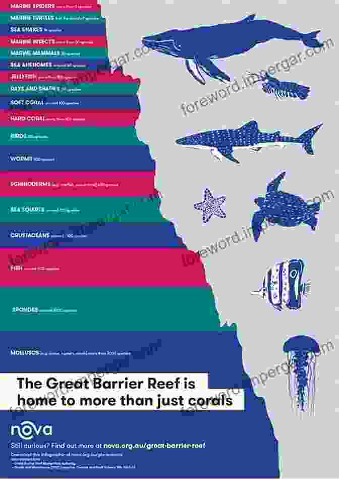 Marine Biodiversity Of The Great Barrier Reef The Reef: A Passionate History: The Great Barrier Reef From Captain Cook To Climate Change