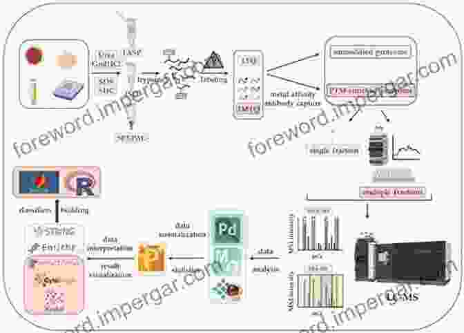 Mass Spectrometry Workflow Advances In Clinical Chemistry (Volume 43)