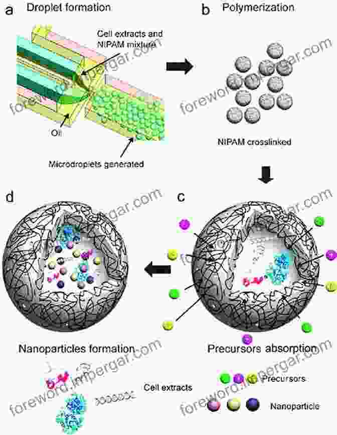 Microdroplet Generation Technology Microdrop Generation (Nano And Microscience Engineering Technology And Medicine 5)