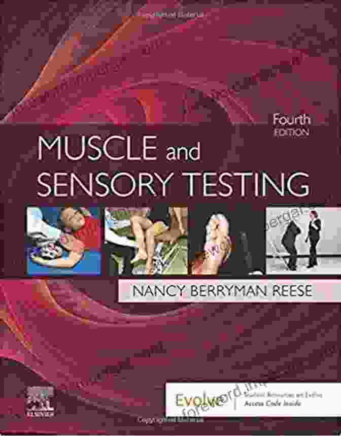 Muscle And Sensory Testing Book Muscle And Sensory Testing E