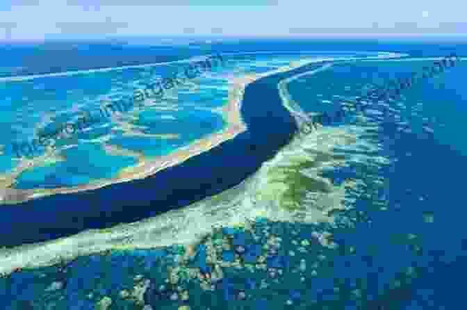 Panoramic View Of The Great Barrier Reef The Reef: A Passionate History: The Great Barrier Reef From Captain Cook To Climate Change