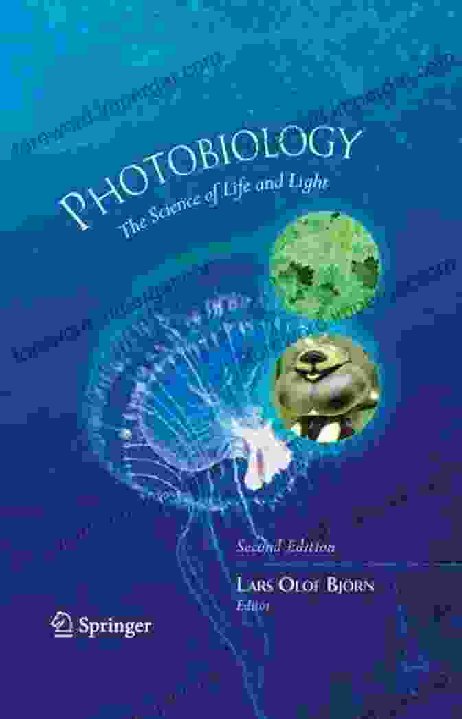 Photo Of The Book Cover 'Photobiology: A Comprehensive Treatise' By Elli Kohen Photobiology Elli Kohen