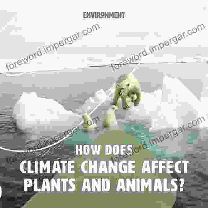 Radiation Impacting The Environment, Affecting Plant And Animal Life And Disrupting Ecological Balance Radiation Biophysics Edward L Alpen