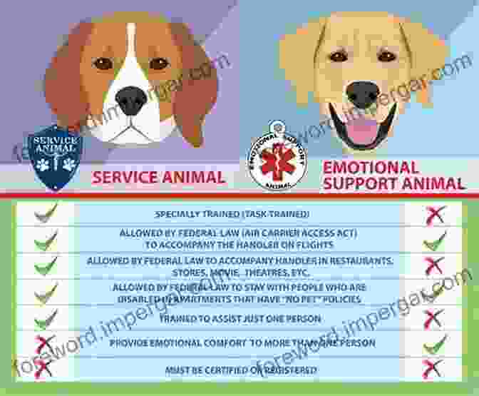 Real World Applications Of Service Dogs In Various Fields, Such As Detecting Explosives And Providing Emotional Support K9 Behavior Basics: A Manual For Proven Success In Operational Service Dog Training