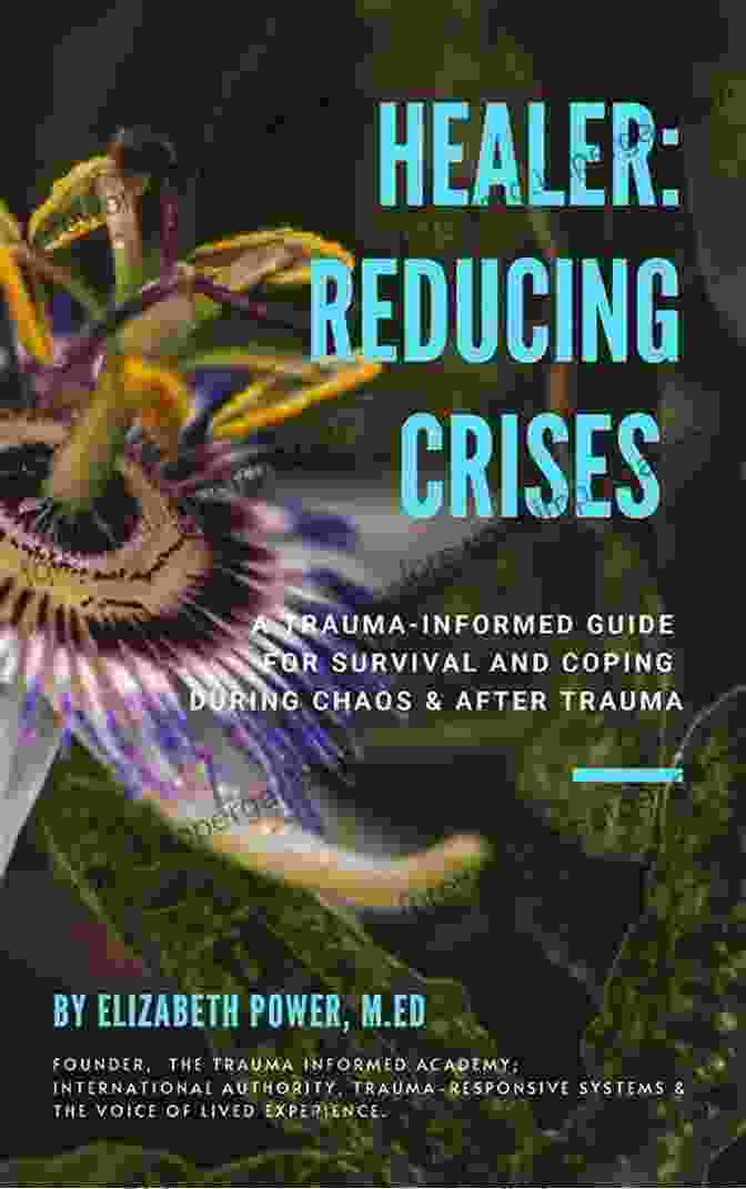 Reducing Crises Book Cover By Elizabeth Power Healer: Reducing Crises Elizabeth Power