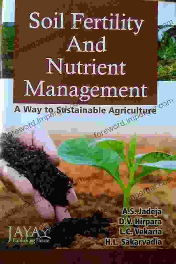 Research Perspective On Nutrient Management And Sustainability Of Agriculture