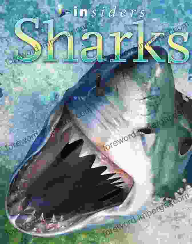 Shark Bidding System Book Cover By Ellen Greer Shark Bidding System Ellen Greer