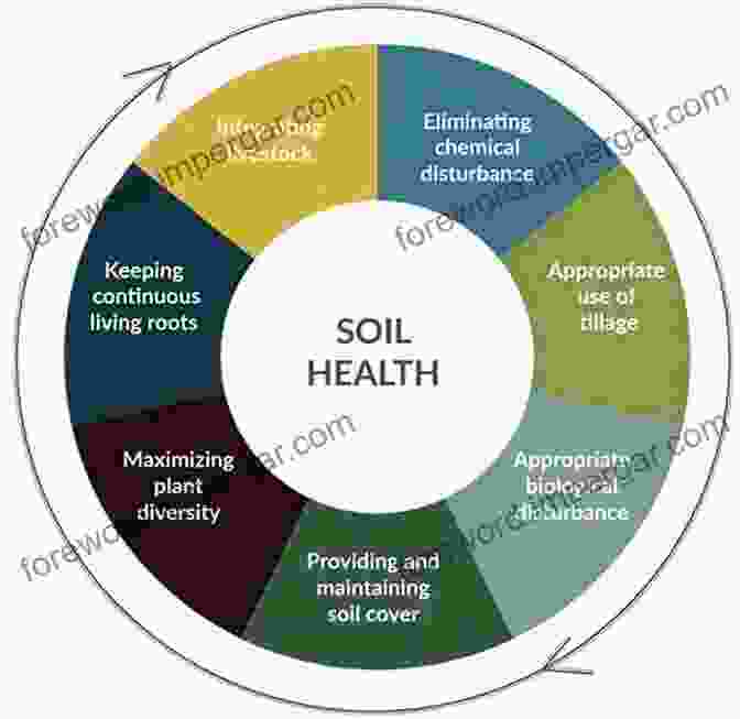 Soil Health And Biodiversity Advances In Agronomy (Volume 157) Eric Lichtfouse