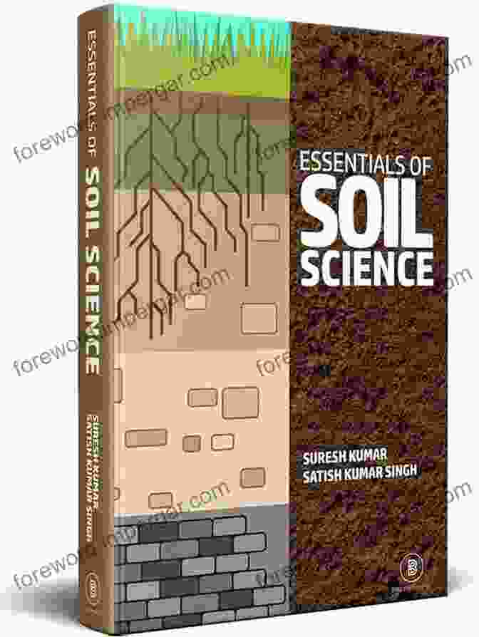 Soil Science And Agriculture: A Harmonious Relationship Practical Soil Science And Agriculatural Chemistry 2Ed (Pb 2024)