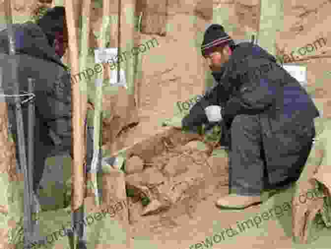 Tarim Basin Archaeological Excavation Team At Work The Graves Of Tarim: Genealogy And Mobility Across The Indian Ocean (California World History Library 3)