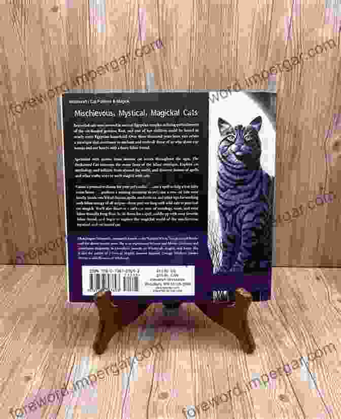 The Enchanted Cat: Feline Fascinations, Spells, And Magick The Enchanted Cat: Feline Fascinations Spells And Magick