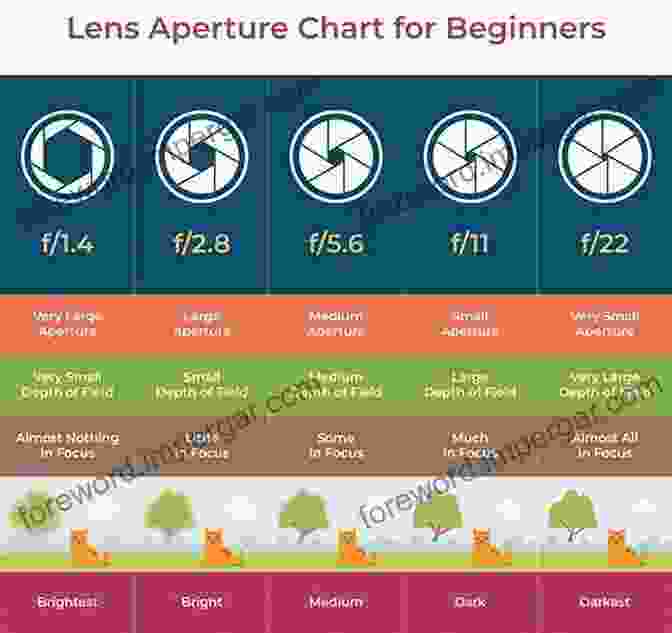 Understanding Aperture Settings For Photography Photographing Women: Posing Lighting And Shooting Techniques For Portrait And Fashion Photography