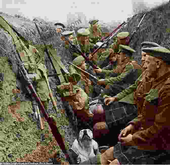 World War I Soldiers In Trenches, Showcasing The Harsh Conditions And Camaraderie Of The Era The First World War: Costs And Consequences: The Price Of Peace (History Matters The First World War 7)