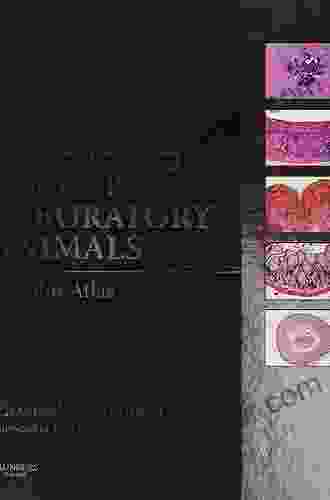 Background Lesions In Laboratory Animals: A Color Atlas