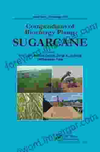 Compendium Of Bioenergy Plants: Sugarcane