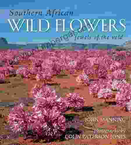 Southern African Wild Flowers Jewels Of The Veld