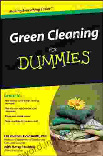 Green Cleaning For Dummies Elizabeth B Goldsmith