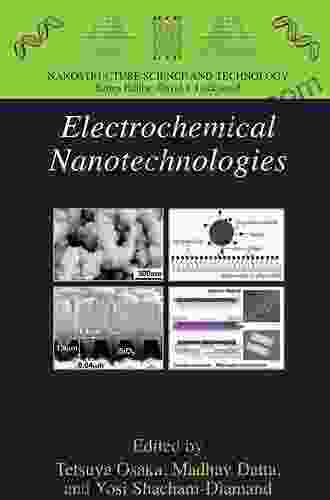 Electrochemical Nanotechnologies (Nanostructure Science And Technology)