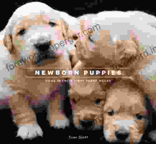 Newborn Puppies: Dogs In Their First Three Weeks