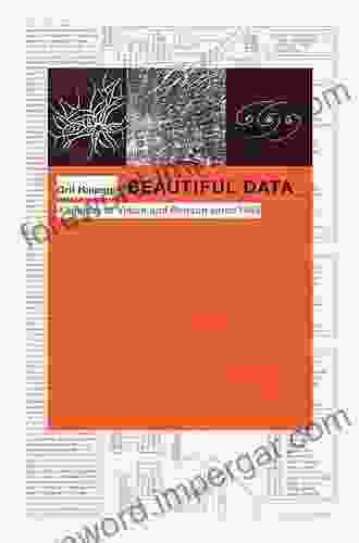 Beautiful Data: A History of Vision and Reason since 1945 (Experimental Futures)