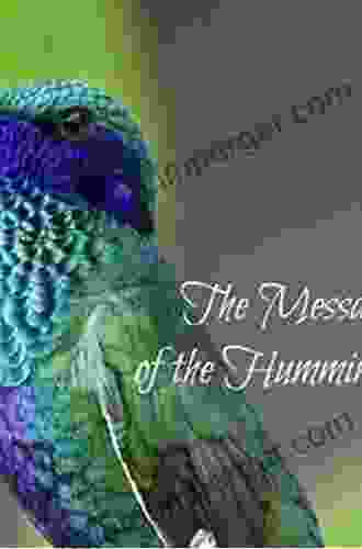 HUMMINGBIRD: Message Received: Part 2 Katharina Lowe