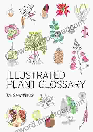 Illustrated Plant Glossary Enid Mayfield