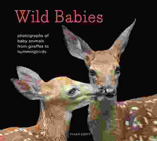 Wild Babies: Photographs Of Baby Animals From Giraffes To Hummingbirds