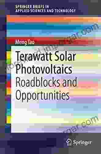 Terawatt Solar Photovoltaics: Roadblocks And Opportunities (SpringerBriefs In Applied Sciences And Technology)