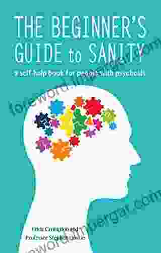 The Beginner S Guide To Sanity: A Self Help For People With Psychosis