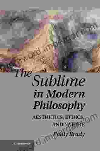 The Sublime In Modern Philosophy: Aesthetics Ethics And Nature