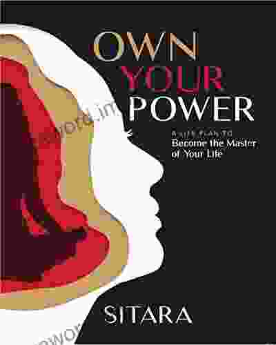 Own Your Power : A Life Plan To Become The Master Of Your Life